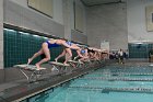 Swimming vs Babson  Wheaton College Swimming vs Babson College. - Photo By: KEITH NORDSTROM : Wheaton, Swimming, Babson